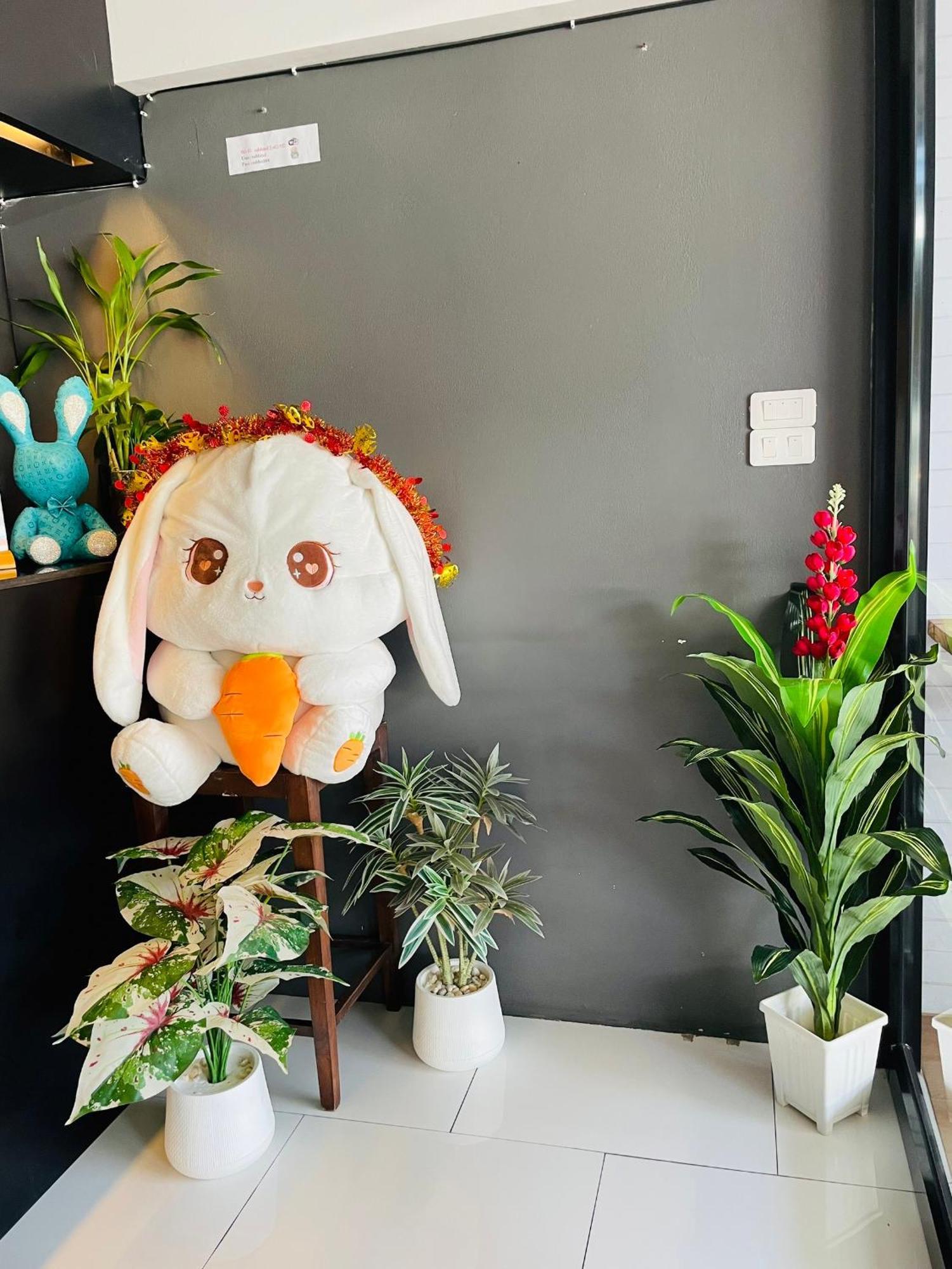 Hostel Rabbitel Phuket Exteriér fotografie